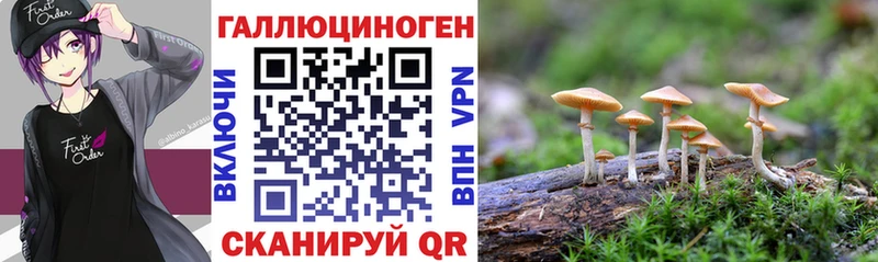 Галлюциногенные грибы Cubensis  Купить  Нижний Новгород 