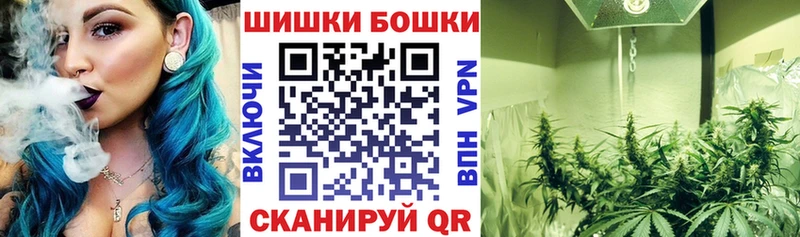 МАРИХУАНА план  Купить закладки  Нижний Новгород 